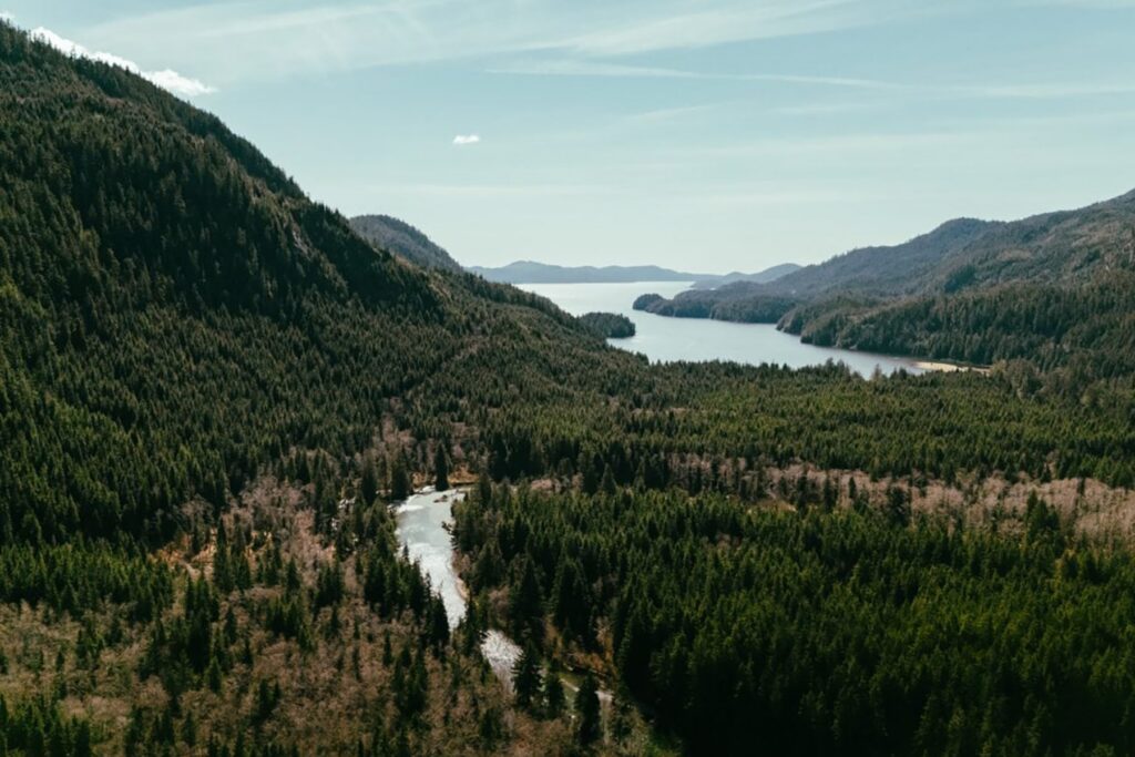 An aerial view of a river flowing through a dense evergreen forest valley.