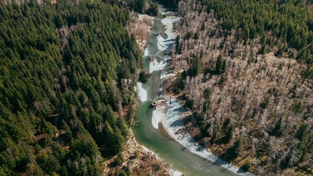 Aerial view of a river with multiple wooden log jams winding through a dense forest valley.