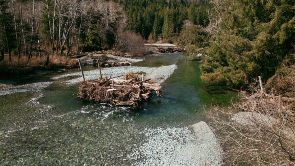 An engineered log jam sits in the middle of a shallow, clear stream flowing over a gravel riverbed.
