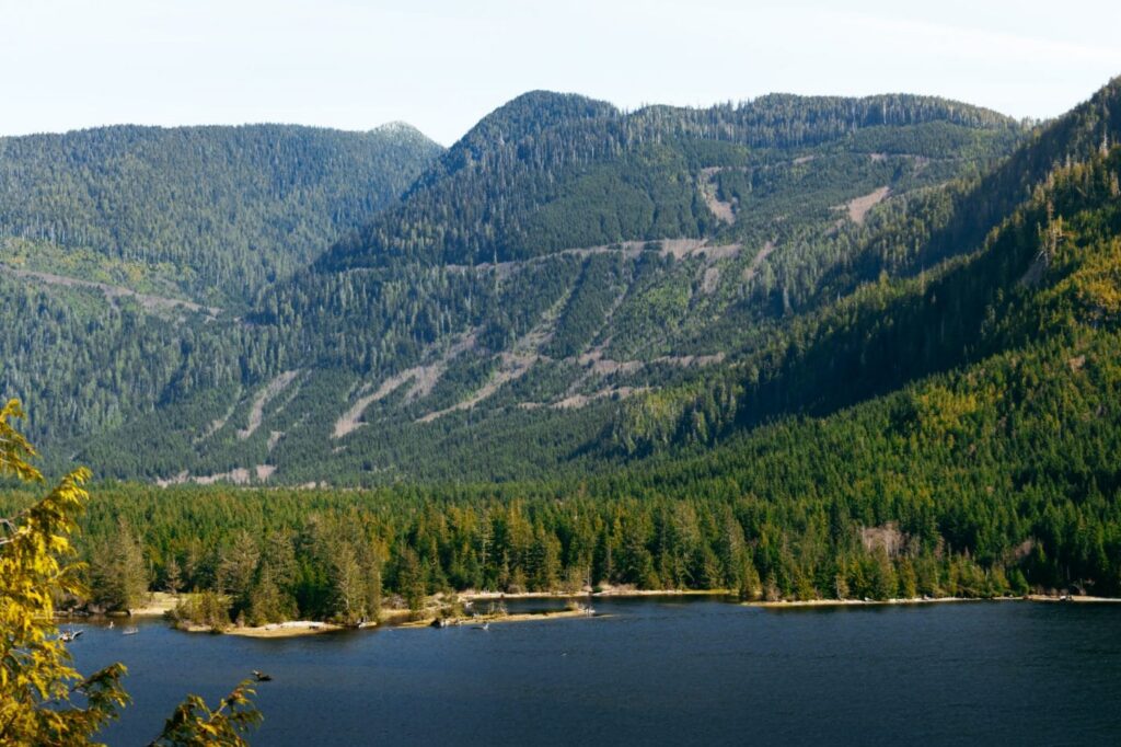 Dense, evergreen-forested mountains behind a lake.