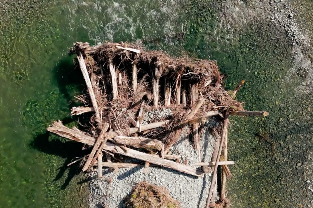 An aerial view of an engineered log jam constructed with timber and roots sitting in clear, shallow river water over a gravel bed.
