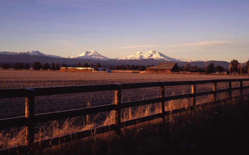 4268167968_12ad4a6116_k (1)