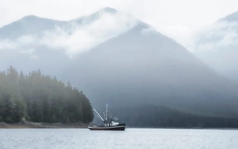 Commecial salmon fishing boat near shore in fog in Southeast Alaska in summer.