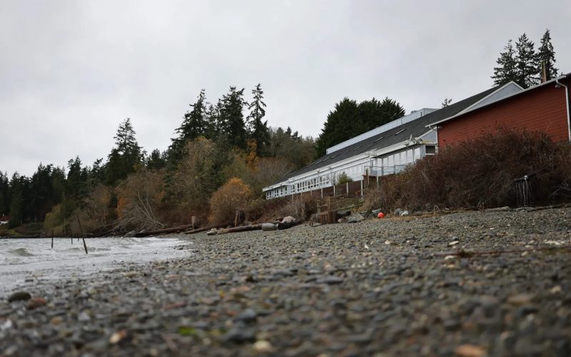 Beach-at-Suquamish-scaled