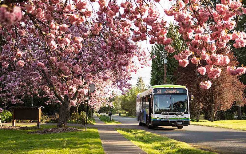 IntercityTransitBus