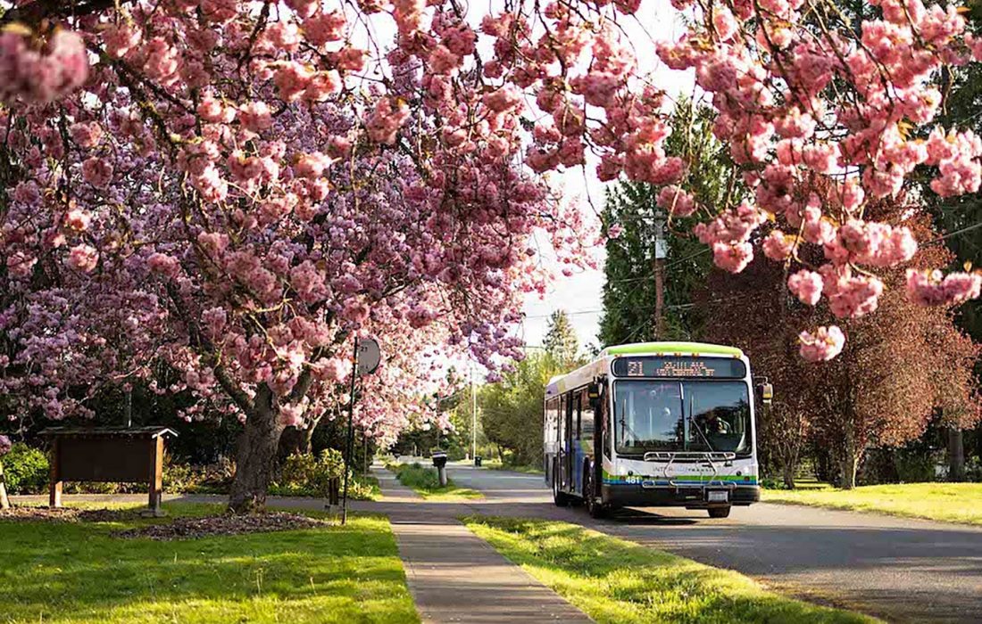 IntercityTransitBus