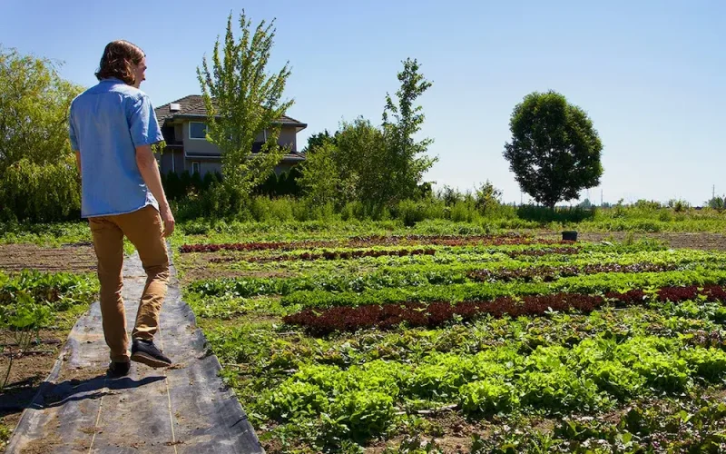 West Coast Seeds marketing specialist Jason Tweten walks through a test garden at the company’s Delta facility. The company has roughly an acre of gardens where it tests seeds for germination and purity. Photo for The Tyee by Katie Hyslop.