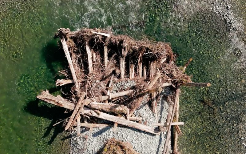 An aerial view of an engineered log jam constructed with timber and roots sitting in clear, shallow river water over a gravel bed.