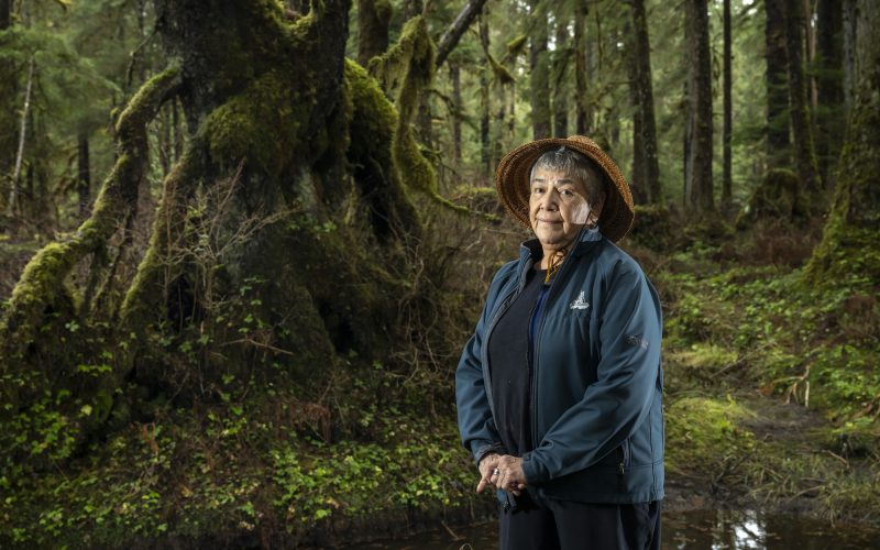 Wanda Culp, 77, stands in the Tongass National Forest near a creek that she spent time fishing with her family as a young girl, in Juneau, AK.  Culp is a Tlingit elder, raised in Juneau and Hoonah, Alaska, of the Eagle and Brown Bear moieties and a member of the Chookaneidi people whose ancestral land is Glacier Bay, Alaska, now a National Park.  

CREDIT: Christopher S. Miller  – csmphotos.com