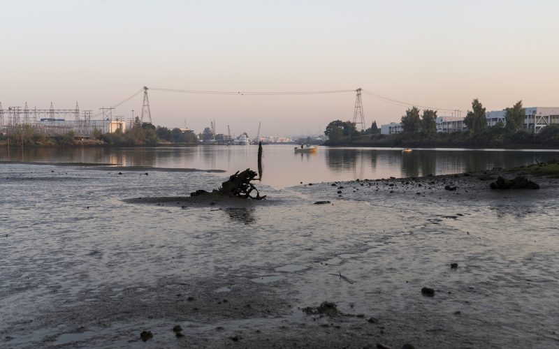 Turning Basin, Where the Duwamish River meets the Duwamish Waterway (Where the Dredging Ceased)