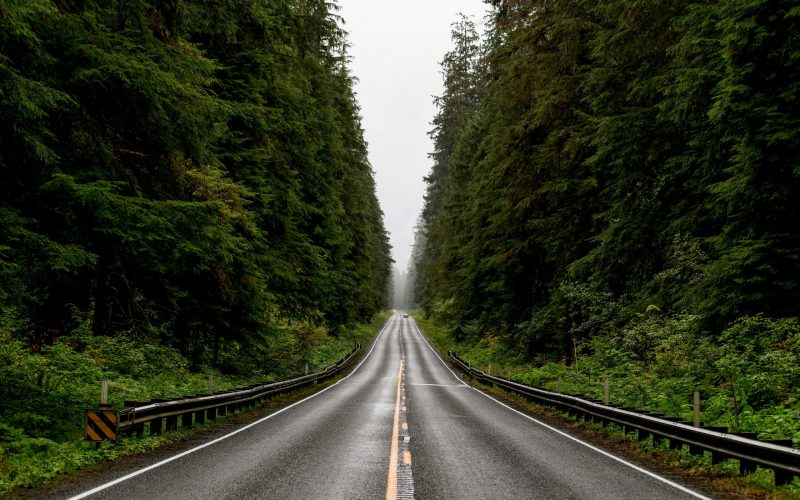 joe-gardner-86T4OpohLTI-unsplash