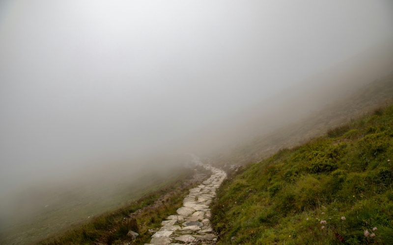 pathintofog