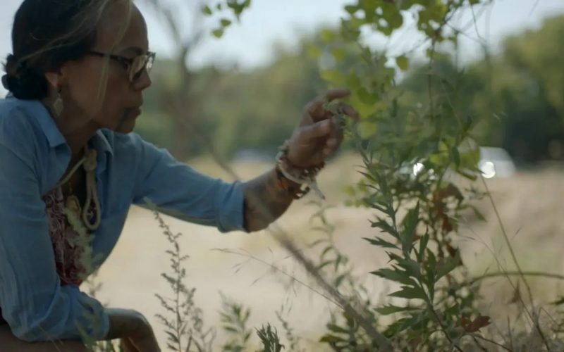 Courtesy PBS / Tending the Wild