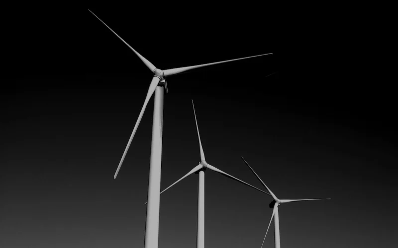 wind5